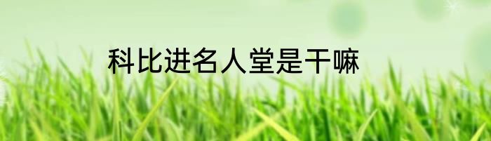 科比进名人堂是干嘛