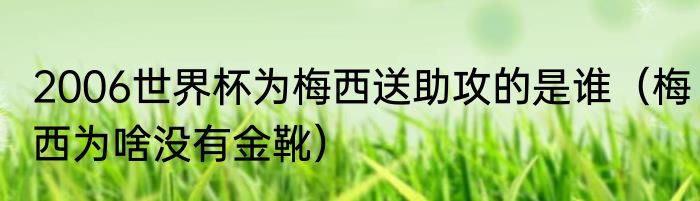 2006世界杯为梅西送助攻的是谁（梅西为啥没有金靴）