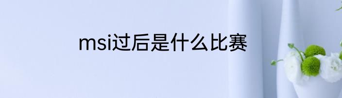 msi过后是什么比赛