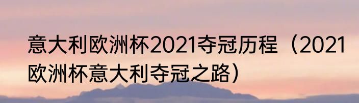 意大利欧洲杯2021夺冠历程（2021欧洲杯意大利夺冠之路）