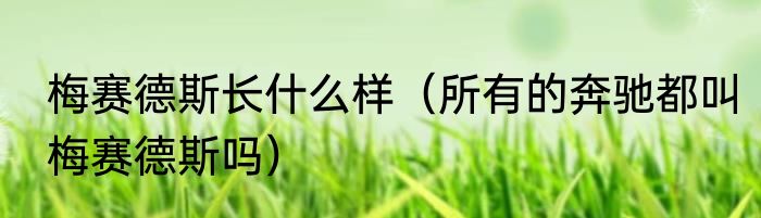 梅赛德斯长什么样（所有的奔驰都叫梅赛德斯吗）