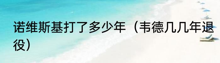 诺维斯基打了多少年（韦德几几年退役）