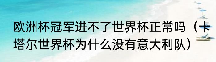 欧洲杯冠军进不了世界杯正常吗（卡塔尔世界杯为什么没有意大利队）