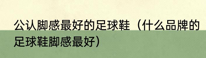 公认脚感最好的足球鞋（什么品牌的足球鞋脚感最好）