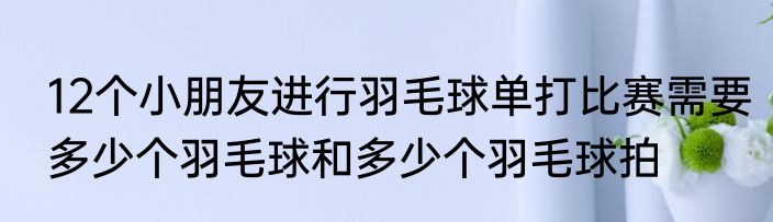 12个小朋友进行羽毛球单打比赛需要多少个羽毛球和多少个羽毛球拍