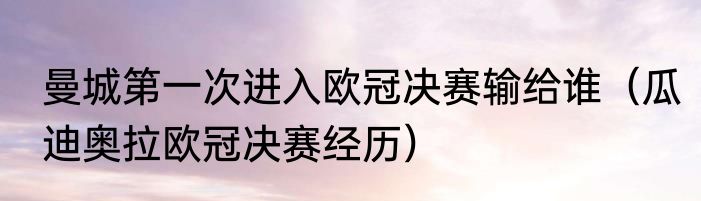 曼城第一次进入欧冠决赛输给谁（瓜迪奥拉欧冠决赛经历）