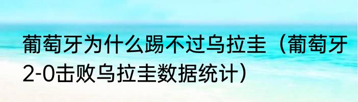 葡萄牙为什么踢不过乌拉圭（葡萄牙2-0击败乌拉圭数据统计）