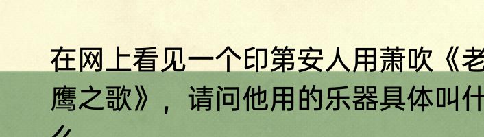 在网上看见一个印第安人用萧吹《老鹰之歌》，请问他用的乐器具体叫什么