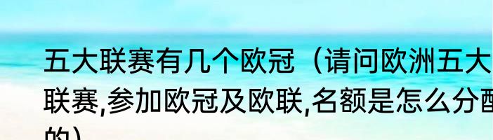 五大联赛有几个欧冠（请问欧洲五大联赛,参加欧冠及欧联,名额是怎么分配的）