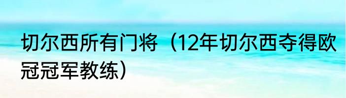 切尔西所有门将（12年切尔西夺得欧冠冠军教练）