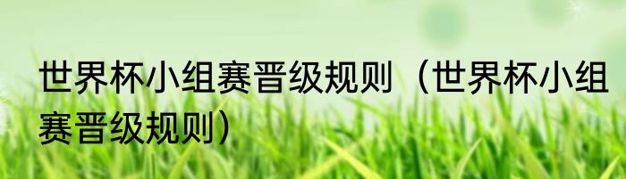 世界杯小组赛晋级规则（世界杯小组赛晋级规则）