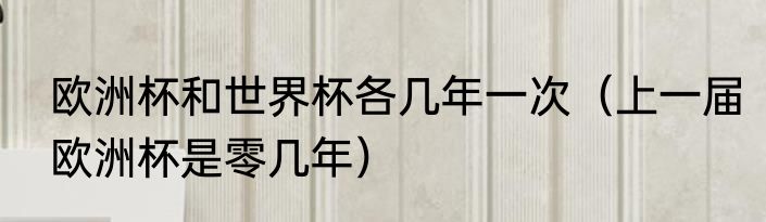 欧洲杯和世界杯各几年一次（上一届欧洲杯是零几年）