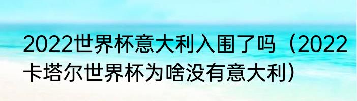 2022世界杯意大利入围了吗（2022卡塔尔世界杯为啥没有意大利）