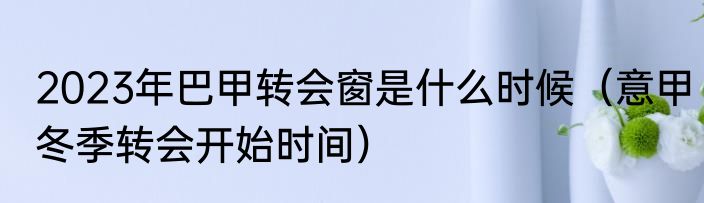 2023年巴甲转会窗是什么时候（意甲冬季转会开始时间）