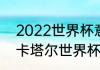 2022世界杯意大利入围了吗（2022卡塔尔世界杯为啥没有意大利）