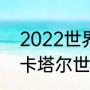 2022世界杯意大利入围了吗（2022卡塔尔世界杯为啥没有意大利）