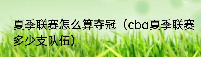 夏季联赛怎么算夺冠（cba夏季联赛多少支队伍）
