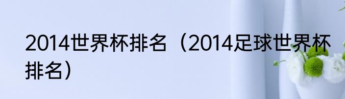 2014世界杯排名（2014足球世界杯排名）