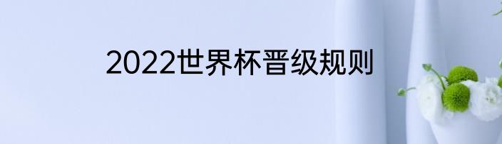 2022世界杯晋级规则