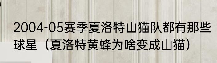 2004-05赛季夏洛特山猫队都有那些球星（夏洛特黄蜂为啥变成山猫）