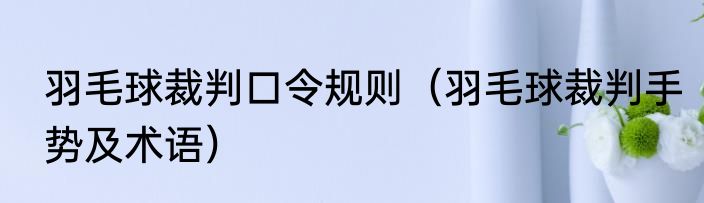 羽毛球裁判口令规则（羽毛球裁判手势及术语）