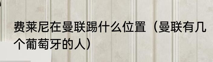 费莱尼在曼联踢什么位置（曼联有几个葡萄牙的人）