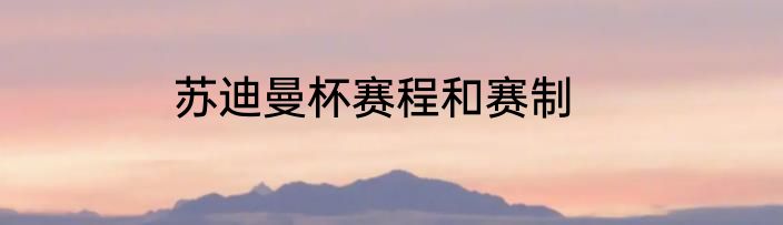 苏迪曼杯赛程和赛制