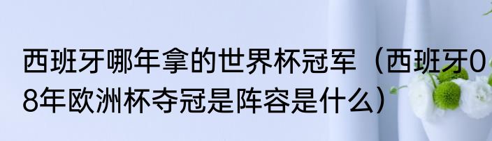 西班牙哪年拿的世界杯冠军（西班牙08年欧洲杯夺冠是阵容是什么）