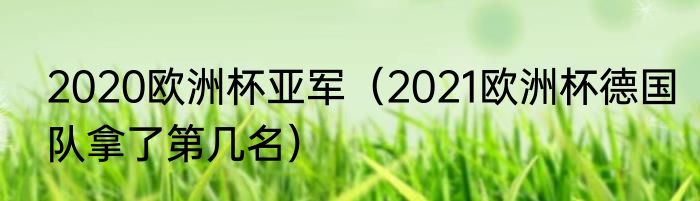 2020欧洲杯亚军（2021欧洲杯德国队拿了第几名）