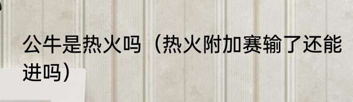公牛是热火吗（热火附加赛输了还能进吗）