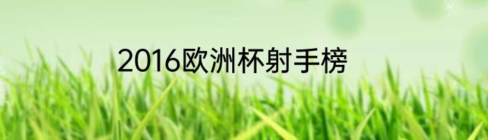 2016欧洲杯射手榜