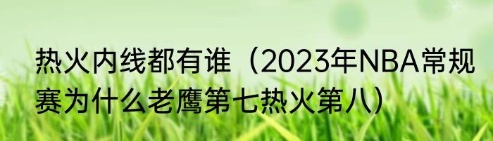热火内线都有谁（2023年NBA常规赛为什么老鹰第七热火第八）