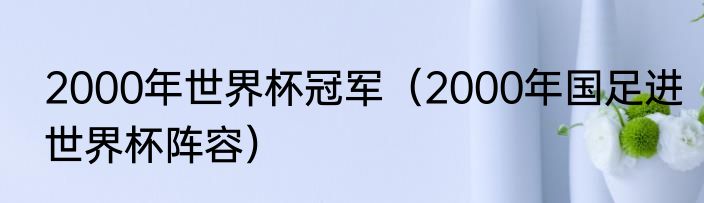 2000年世界杯冠军（2000年国足进世界杯阵容）