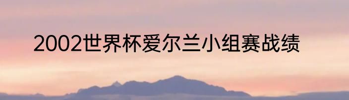 2002世界杯爱尔兰小组赛战绩