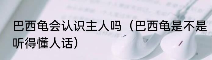 巴西龟会认识主人吗（巴西龟是不是听得懂人话）