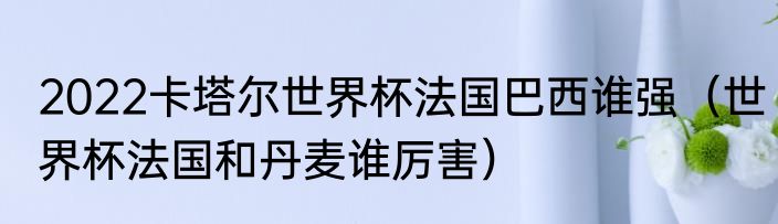 2022卡塔尔世界杯法国巴西谁强（世界杯法国和丹麦谁厉害）