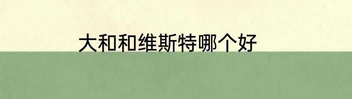 大和和维斯特哪个好