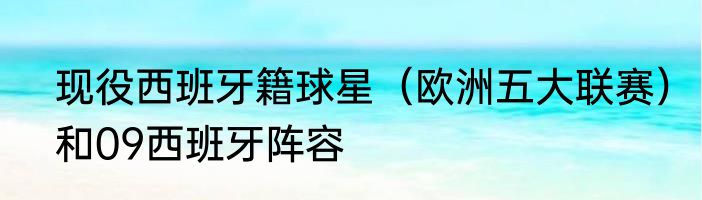 现役西班牙籍球星（欧洲五大联赛）和09西班牙阵容