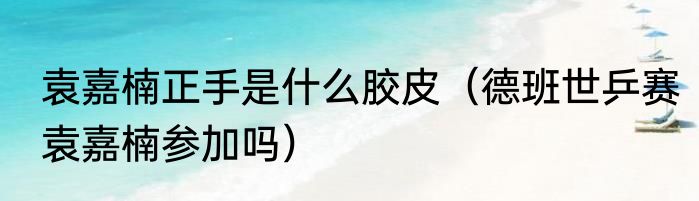 袁嘉楠正手是什么胶皮（德班世乒赛袁嘉楠参加吗）
