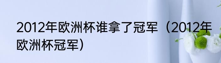 2012年欧洲杯谁拿了冠军（2012年欧洲杯冠军）