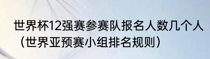世界杯12强赛参赛队报名人数几个人（世界亚预赛小组排名规则）