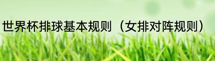 世界杯排球基本规则（女排对阵规则）