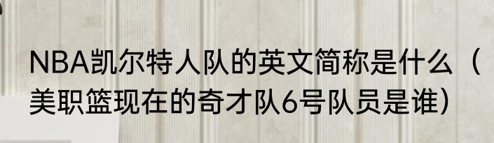 NBA凯尔特人队的英文简称是什么（美职篮现在的奇才队6号队员是谁）