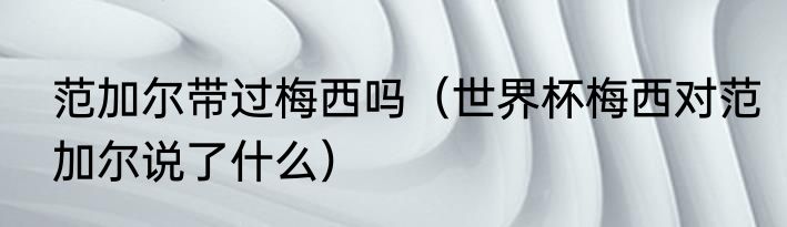 范加尔带过梅西吗（世界杯梅西对范加尔说了什么）