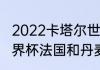 2022卡塔尔世界杯法国巴西谁强（世界杯法国和丹麦谁厉害）