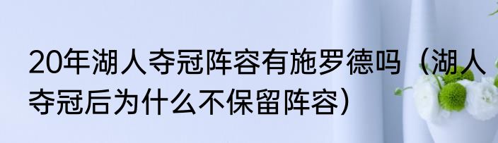 20年湖人夺冠阵容有施罗德吗（湖人夺冠后为什么不保留阵容）