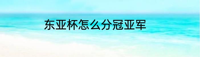 东亚杯怎么分冠亚军