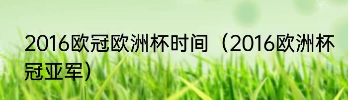 2016欧冠欧洲杯时间（2016欧洲杯冠亚军）