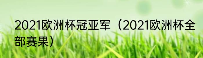 2021欧洲杯冠亚军（2021欧洲杯全部赛果）
