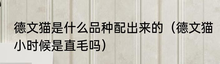 德文猫是什么品种配出来的（德文猫小时候是直毛吗）
